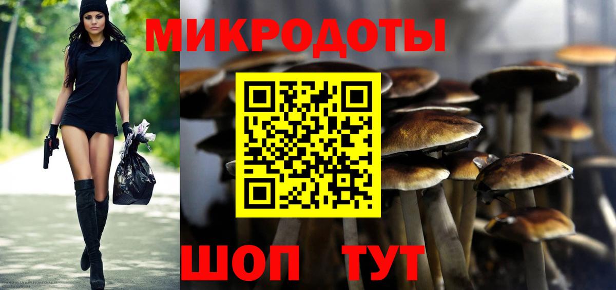 Галлюциногенные грибы мицелий Отрадное